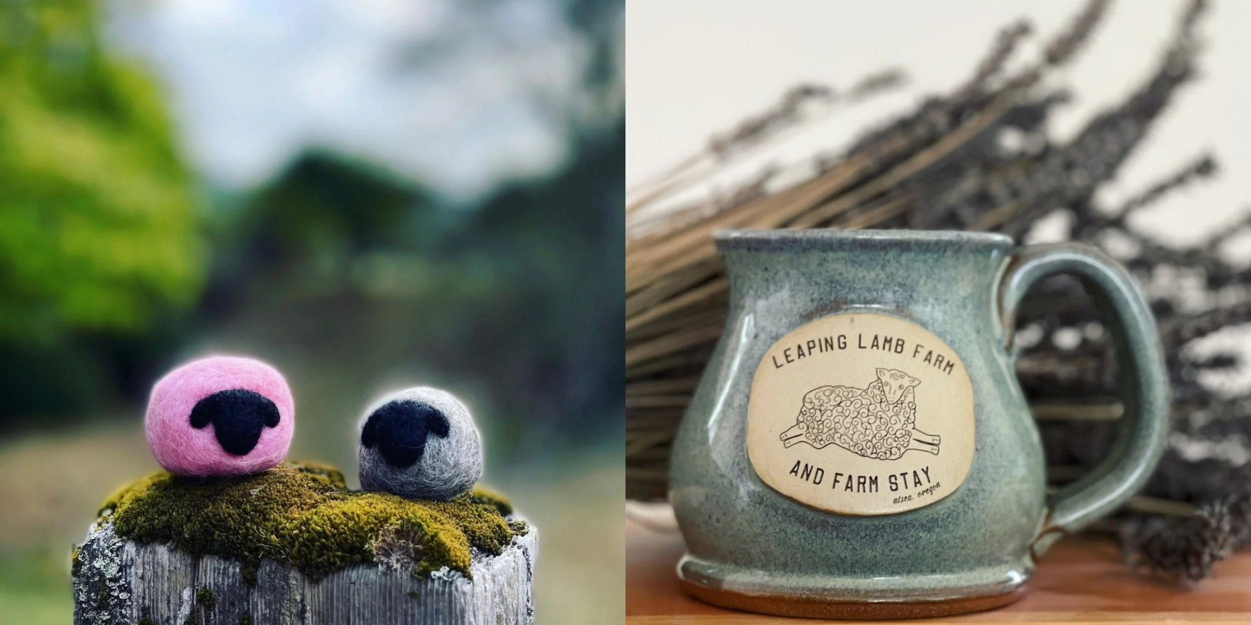 Store 1 — Leaping Lamb Farm & Farm Stay